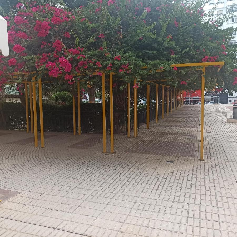 Loft Mediterraneo Malaga Zewnętrze zdjęcie